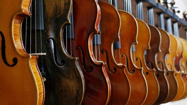 David Bromberg fears huge violin collection must be split up