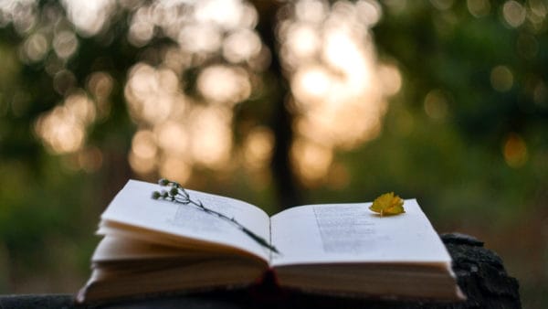 WFMT Hosts and Staff Share Their Favorite Poems