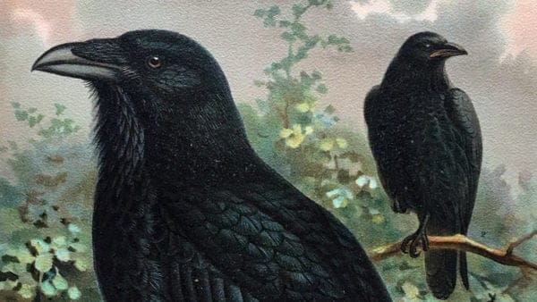 Edgar Allan Poe, Leonard Slatkin, Vincent Price Team Up for an Orchestral Take on 'The Raven'