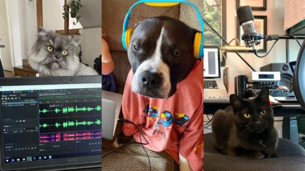 Now Introducing: The Pets of WFMT