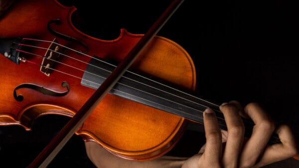 Musicians Protest in Harmony: Violin Vigils for Elijah McClain