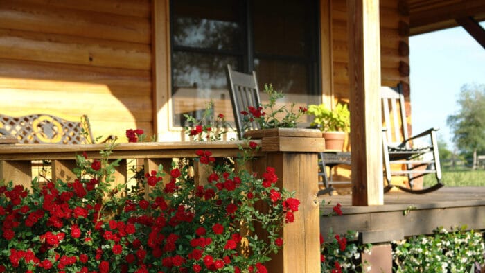 flowers growing on front porch with rocking chair