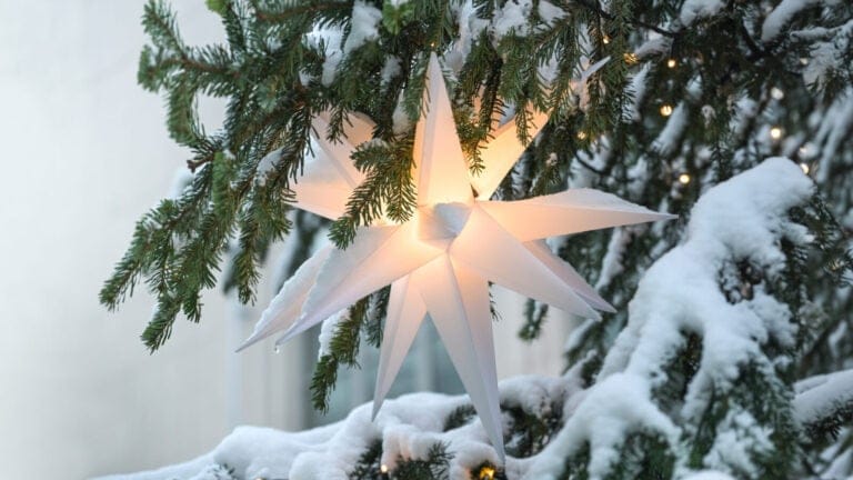 an illuminated white star hangs in a snowy fir tree