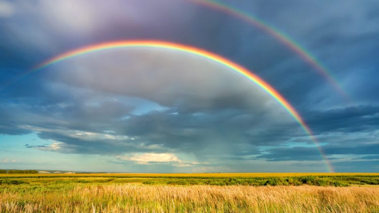 a rainbow over a wheat field