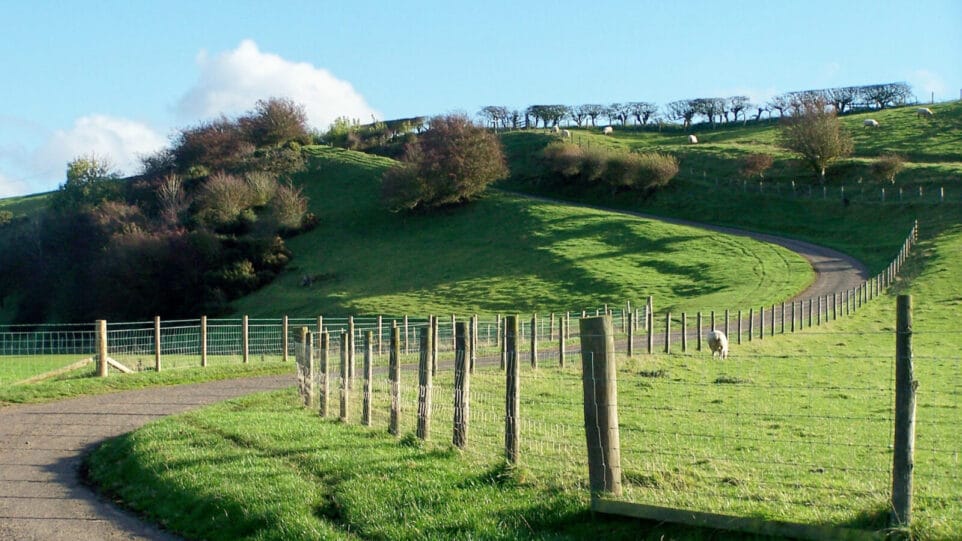 uphill road through green pasture