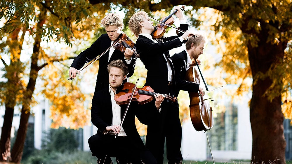 クラシック The Danish String Quartet Wood Works Wood Works [Danish String Quartet ] [Dacapo: 8226081