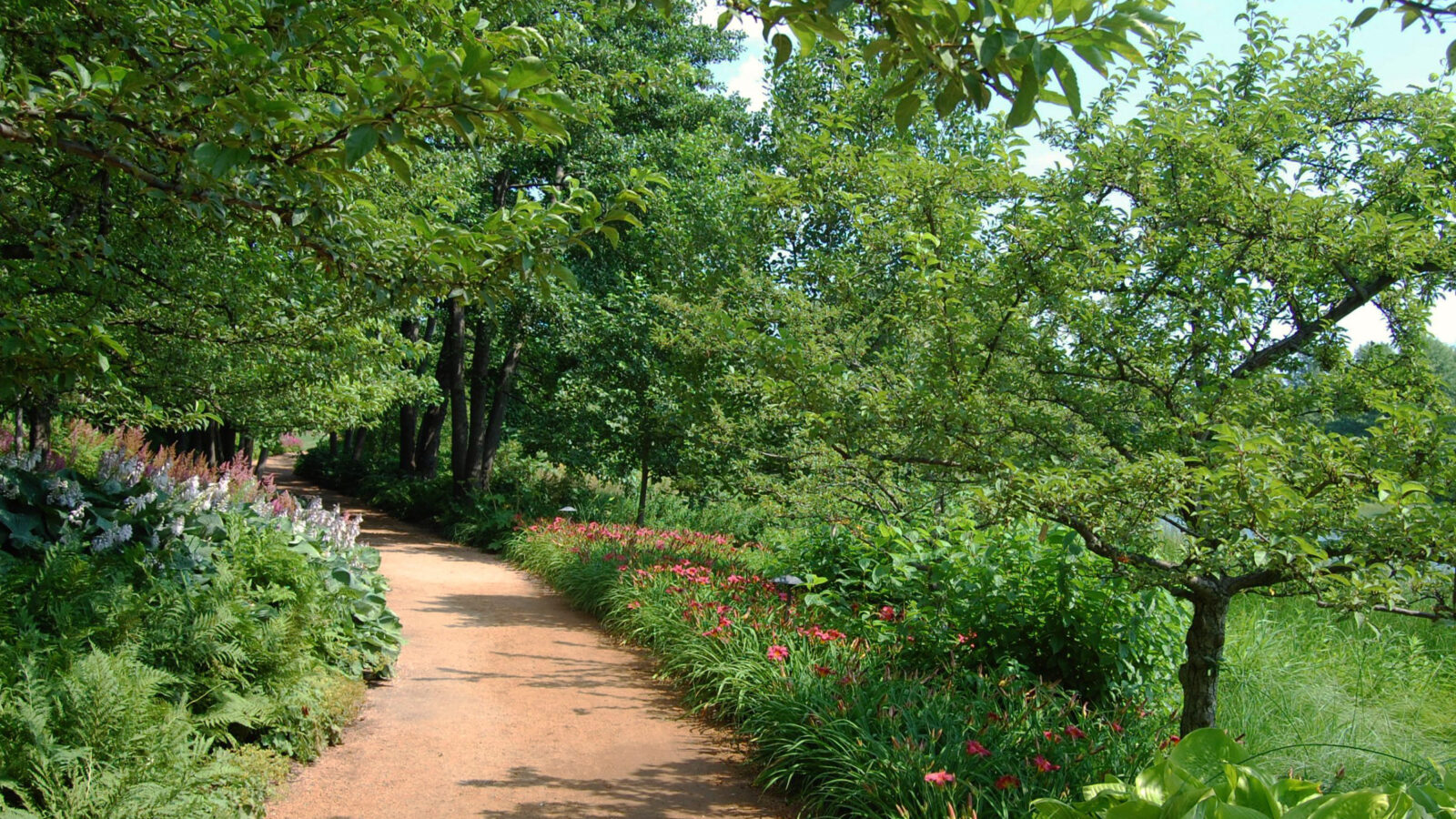 A gentle path to Evening Island at the Chicago Botanic Garden (Photo: JR P)