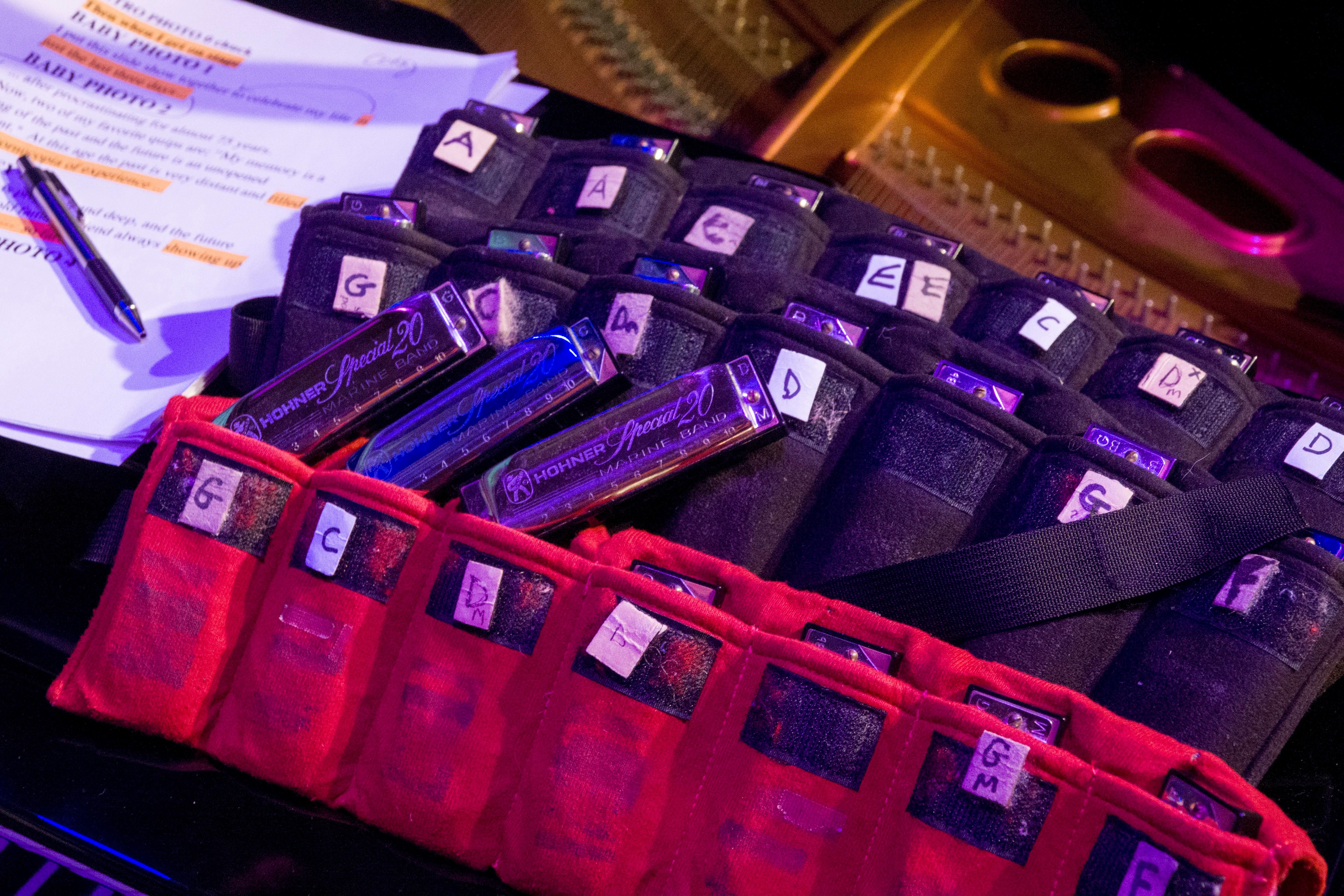 An array of harmonicas organized by key