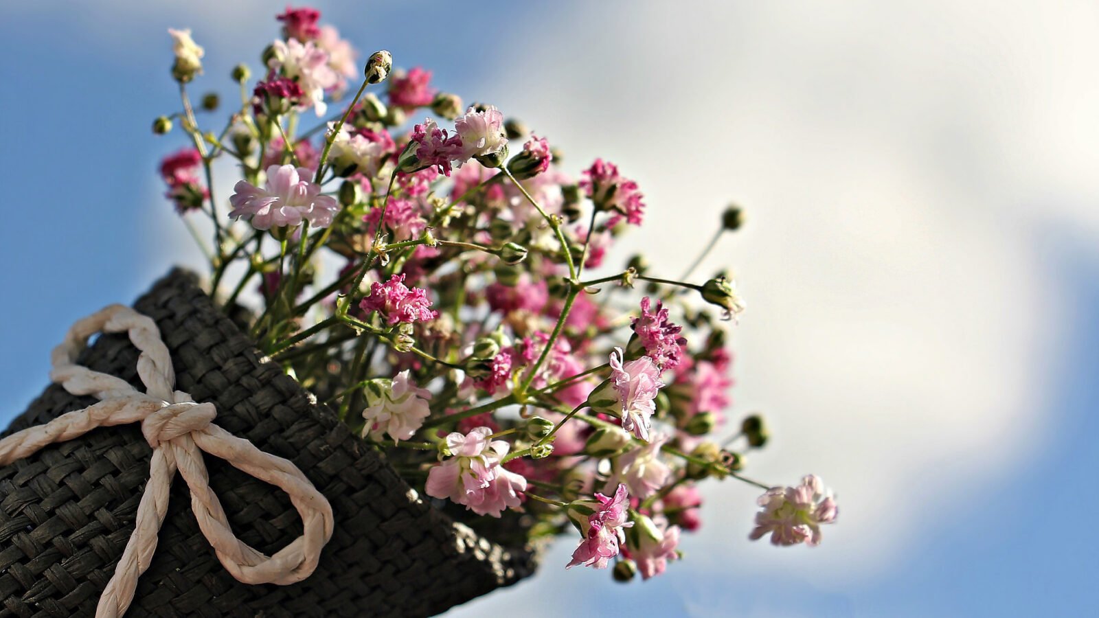 classical music mother's day: flowers