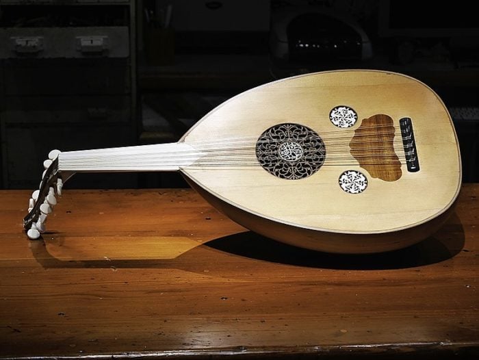 Everything You Always Wanted to Know about the Lute but Were Afraid to