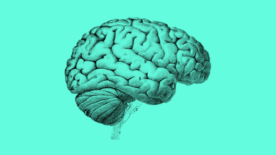 image of brain in neuroscience of singing