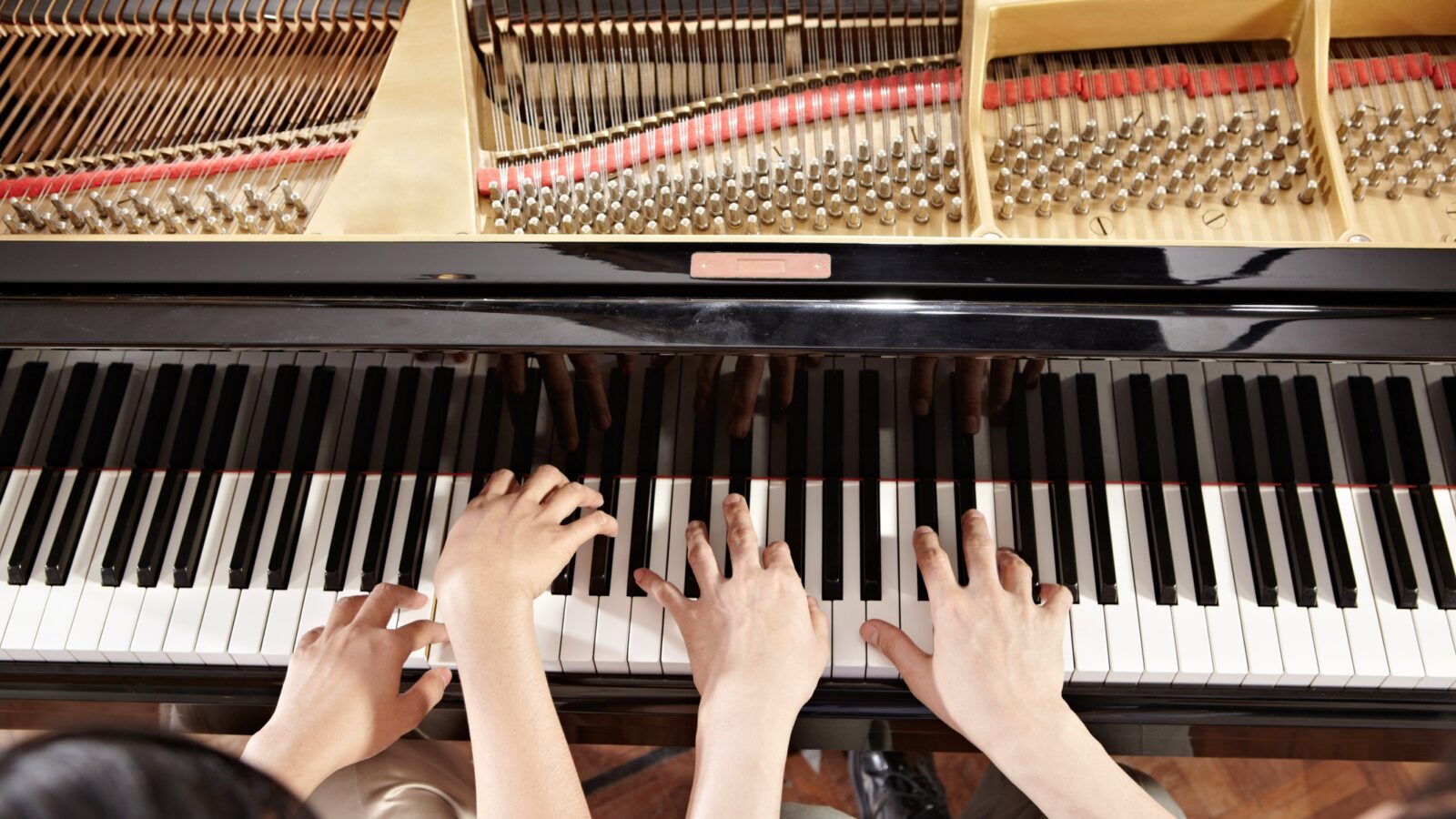 Two Pianos, Four Hands | WFMT