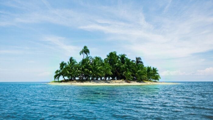 a small island of palm trees