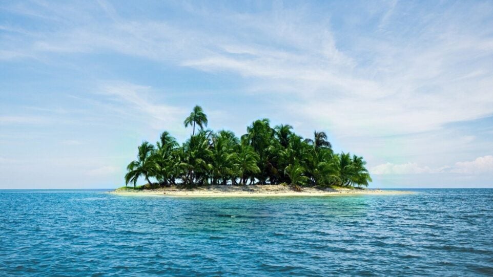 a small island of palm trees
