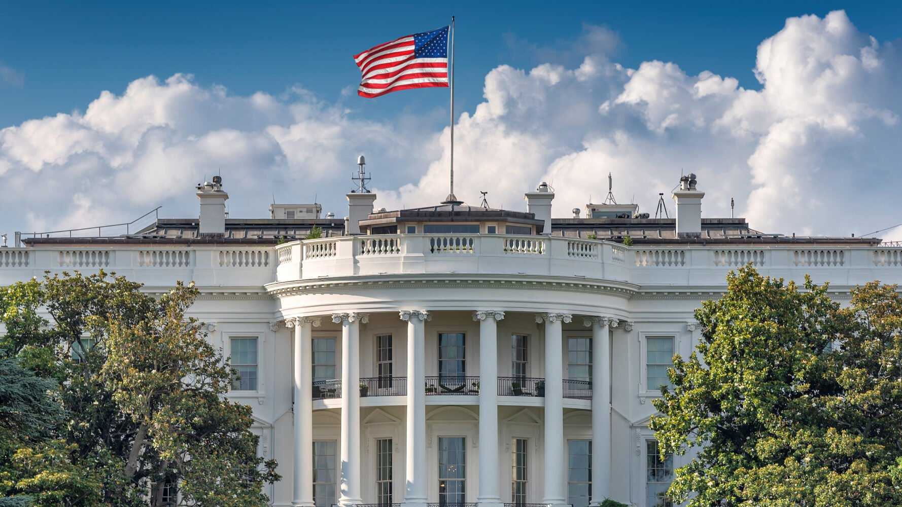 the white house