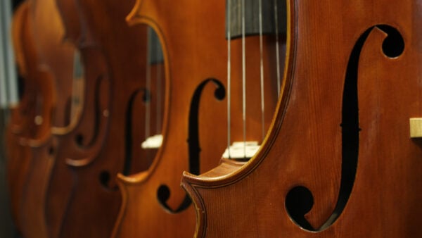 violins FST_Lecca_umutcan-gunuc-B4yrCHcde-k-unsplash