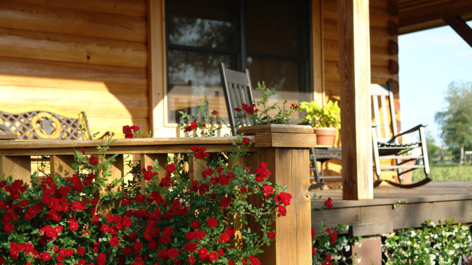 flowers growing on front porch with rocking chair