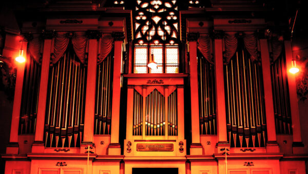 iStock-1208525033-organ2