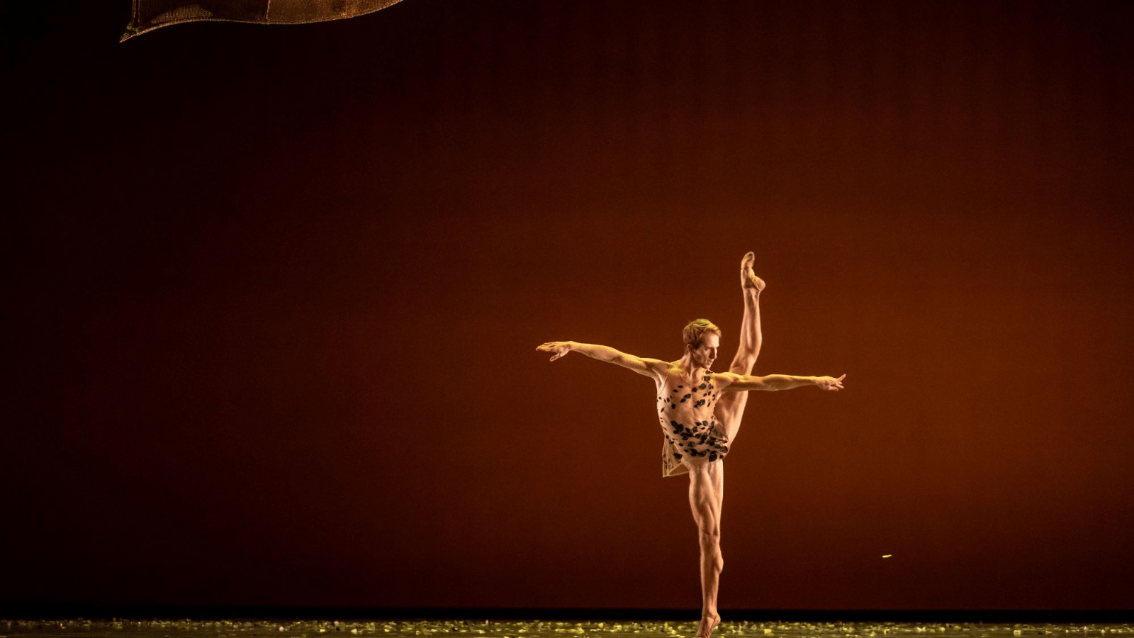 A white male ballet dancer poses with his foot extended straight up into the air. He is wearing a see-through shirt embroidered with dark leaves. The stage is golden and the background is empty, save for a human-sized, dark gold leaf in the upper left hand corner of the picture.