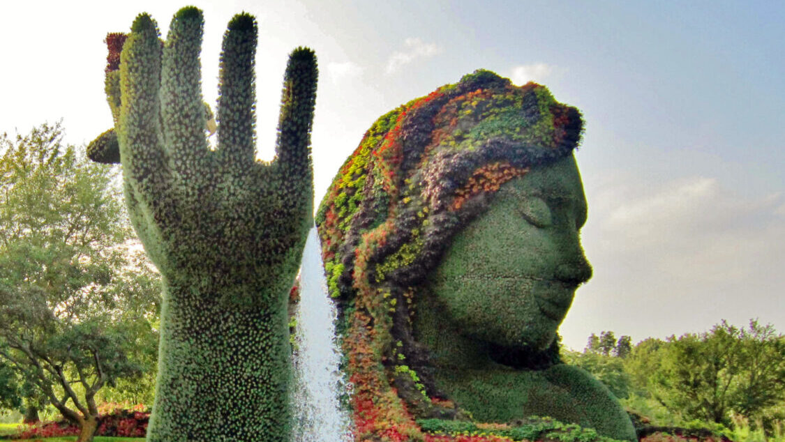 topiary animals, mother natures head and hand in a pool