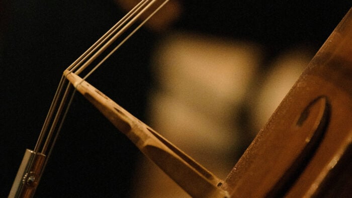 Close up of a cello's bridge