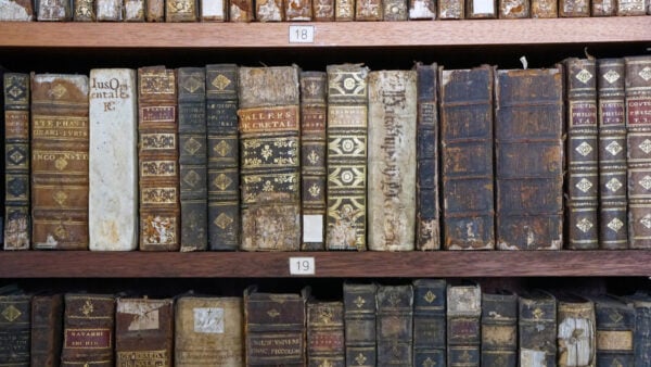 shelves of leatherbound archival manuscripts
