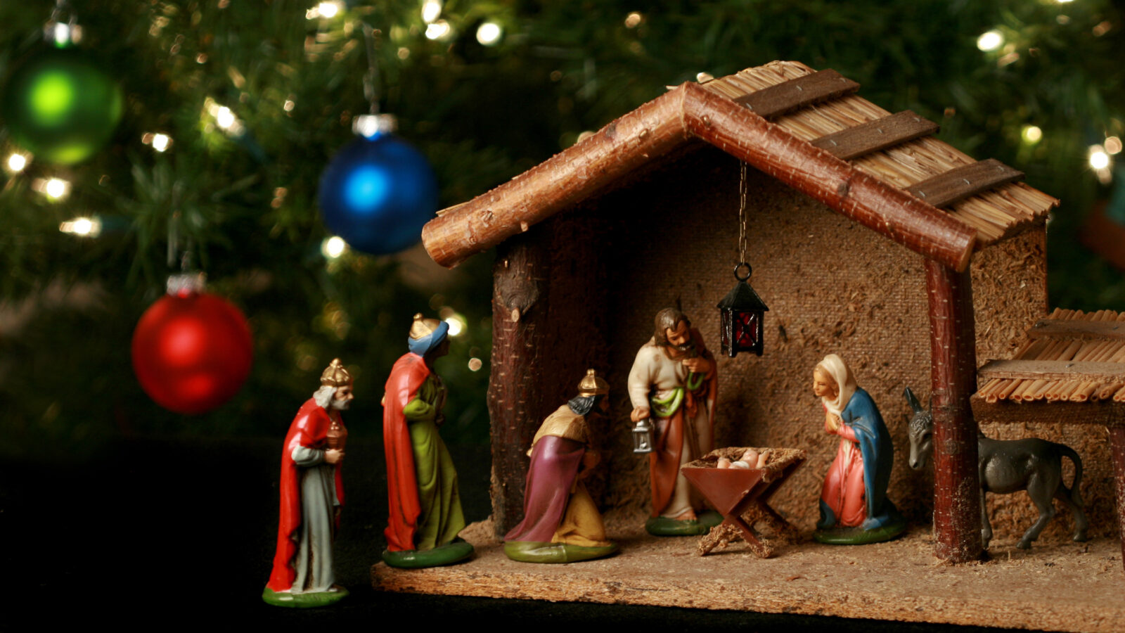 Nativity scene with Christmas Tree