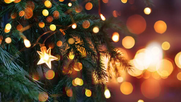 Closeup of glimmering Christmas tree with an illuminated star and golden background lights