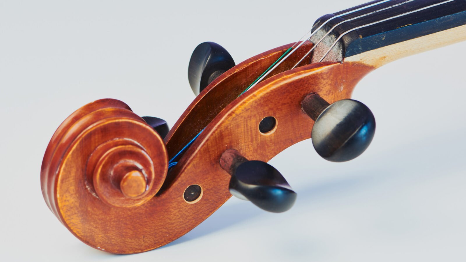 A closeup of a violin scroll, pegbox, and pegs for tuning