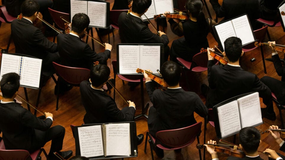 Back of the Violin Section in an orchestra