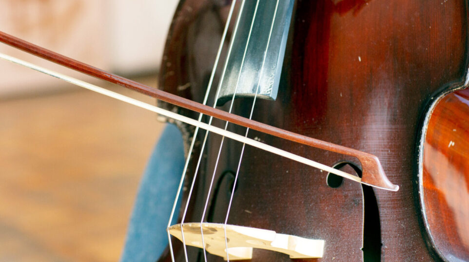 closeup of a double bass and bow