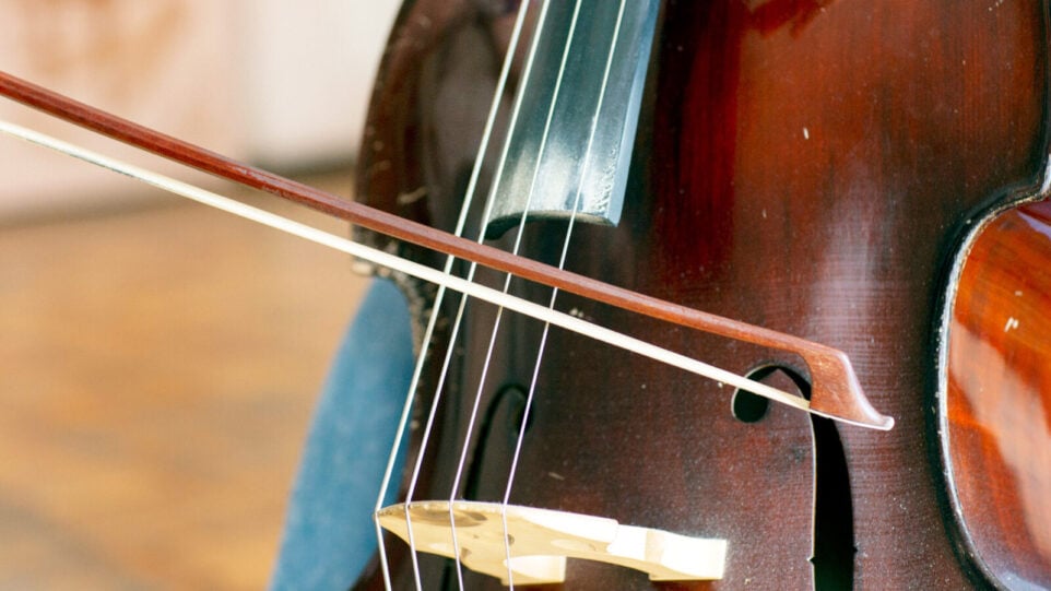 closeup of a double bass and bow