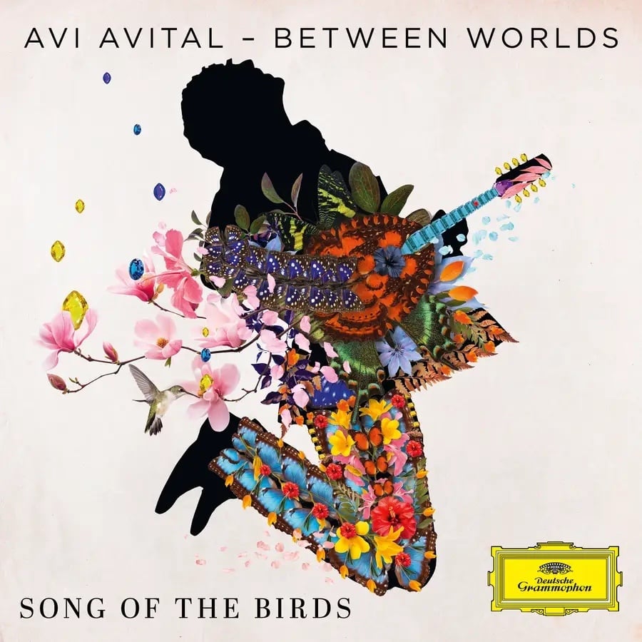 silhouette of man playing mandolin with adorned with colorful flowers