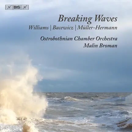 ocean scene with big waves