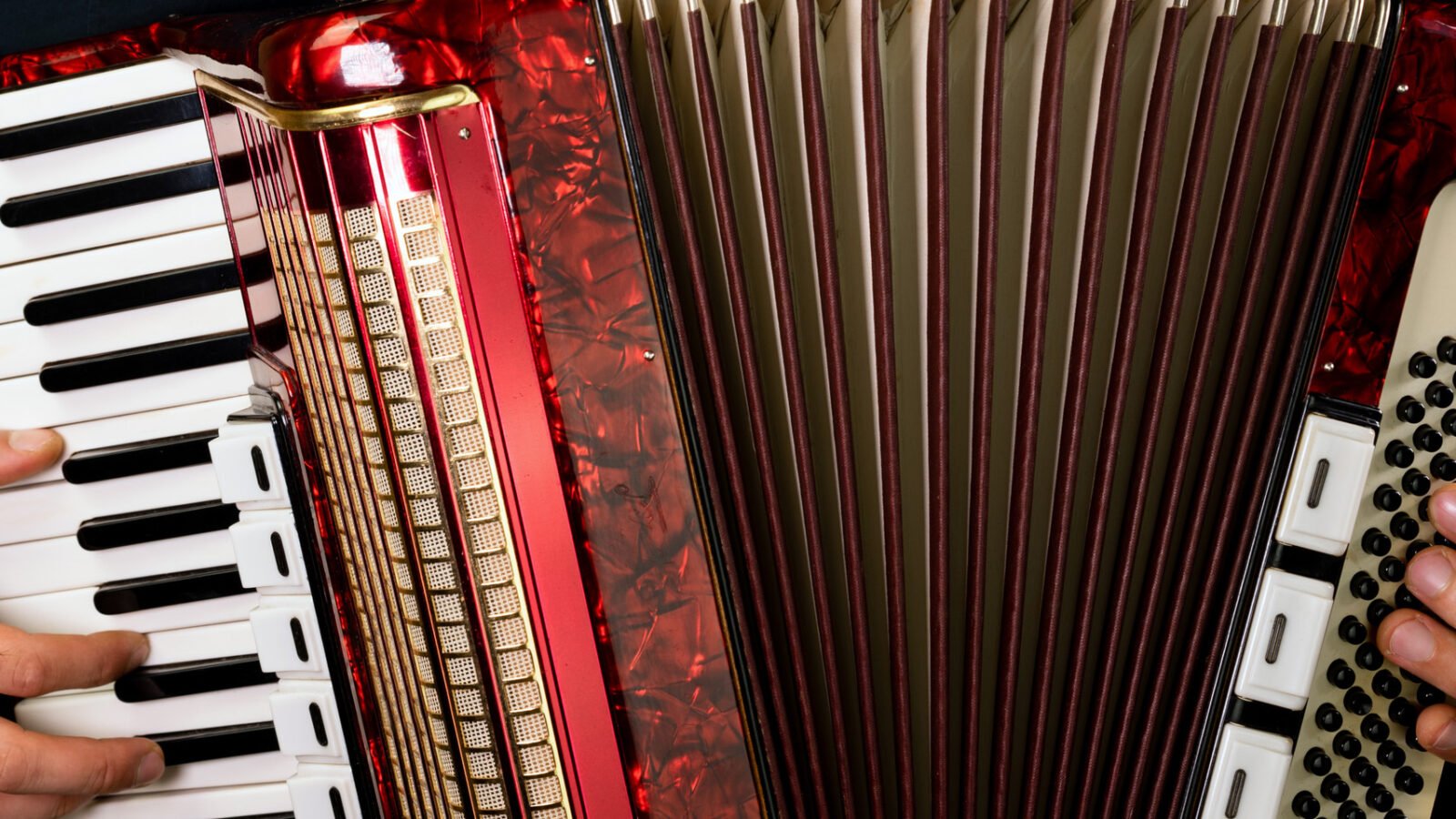 closeup of a red accordion