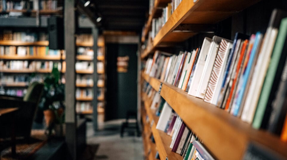 rows of books like shelves in a warm, modern bookstore