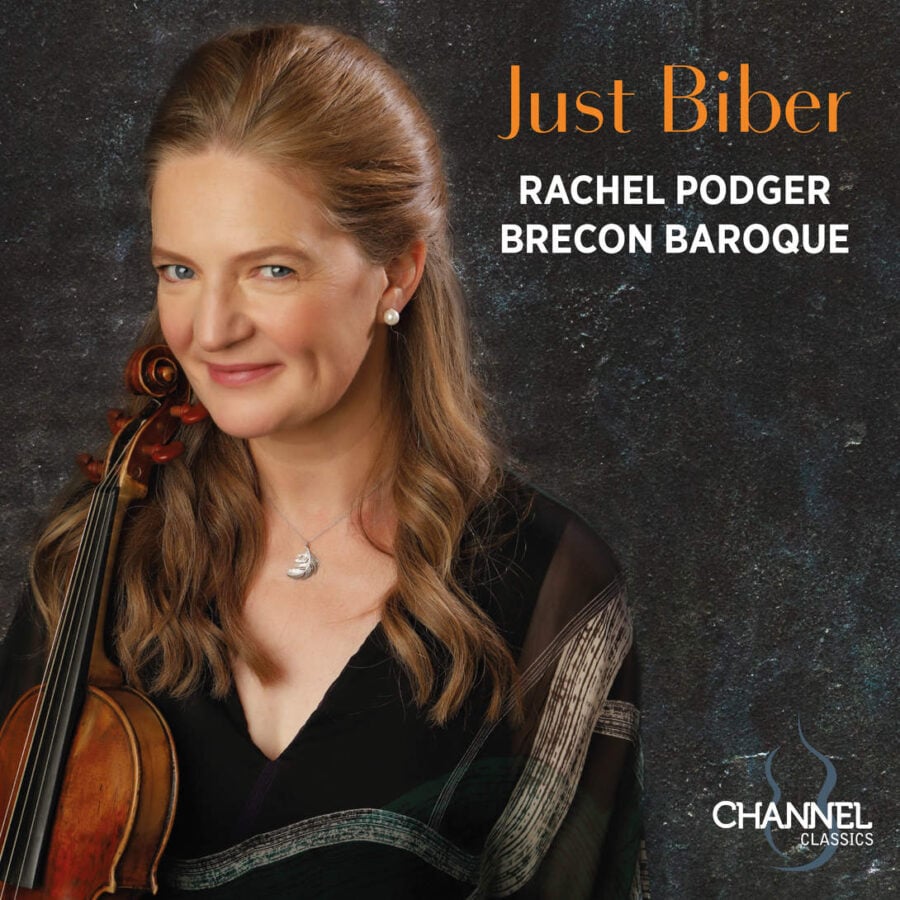 woman holding violin