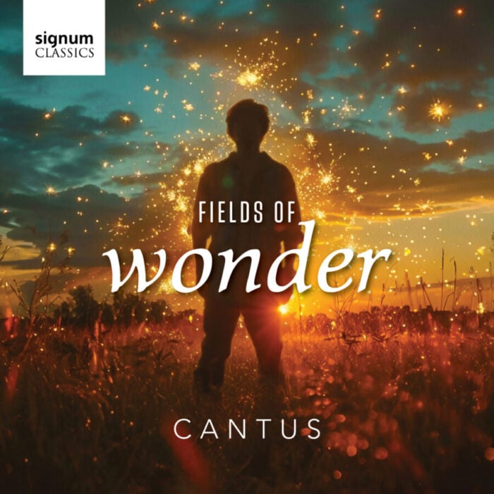 silhouette of boy in field with fireworks