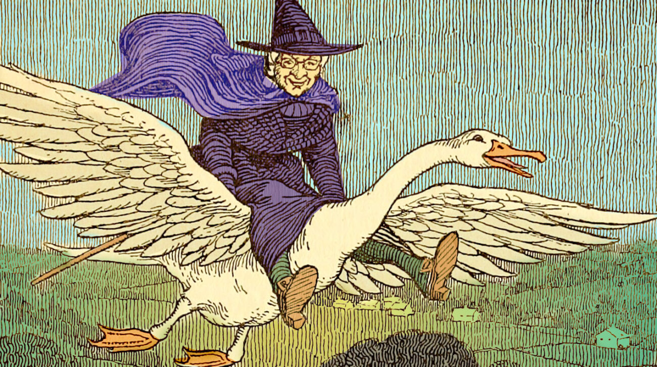 image of mother goose riding on top of goose in flight