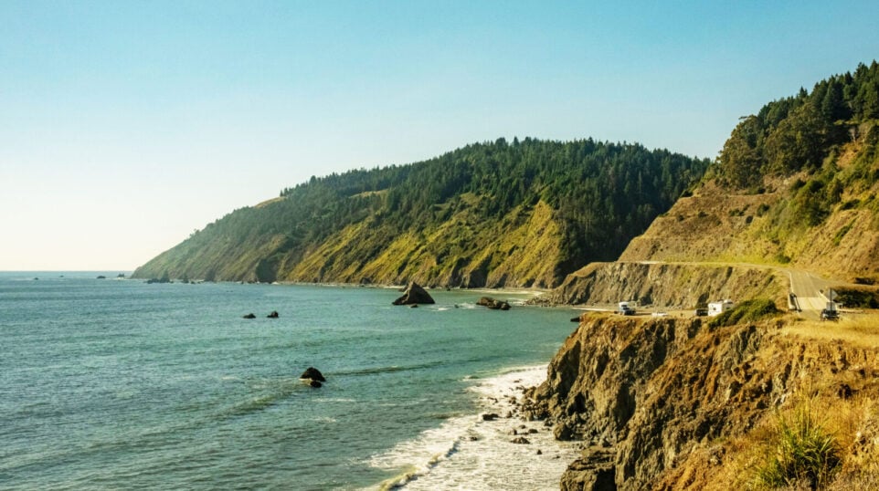 The Pacific Coast with a forest and a beach