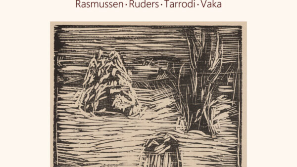 New Nordic Pocket Concertos album cover
