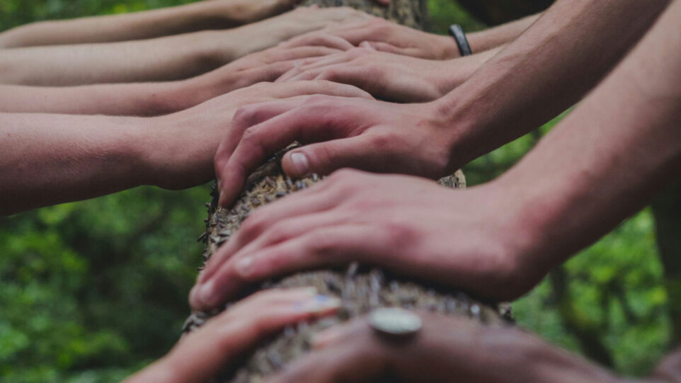 Hands on a Tree branch, paying respects to the family tree