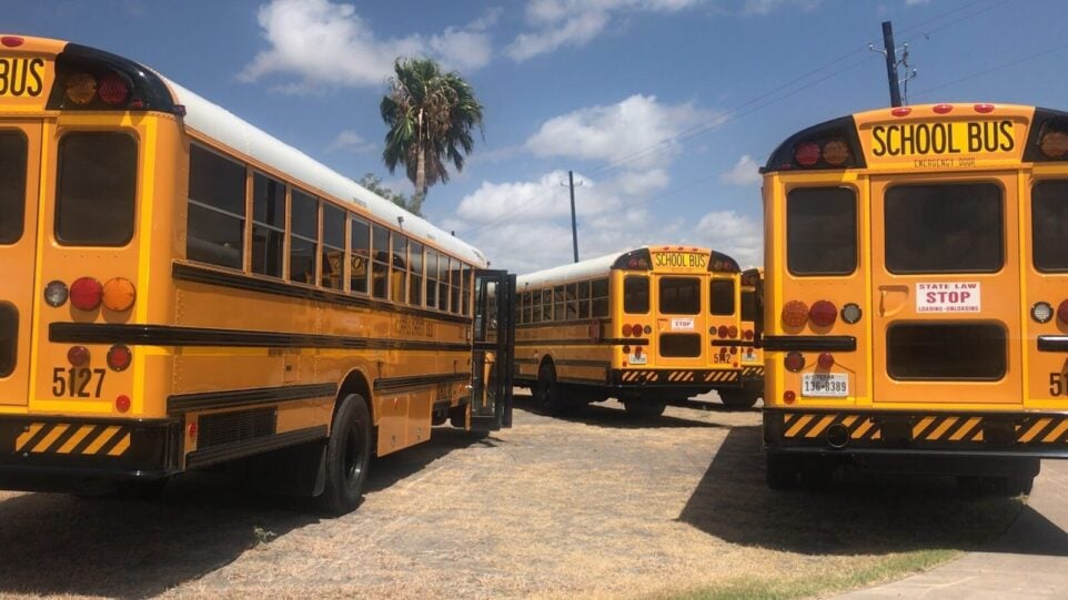 several parked school buses from the rear