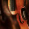 A picture of violins or fiddles hanging in a luthier shop, with the middle orange-brown colored violin in sharp focus.
